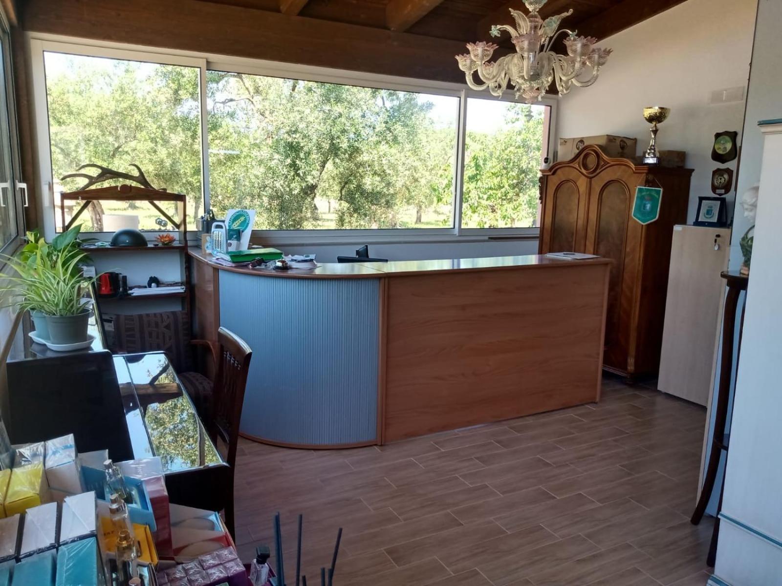 B & B Dei Nobili Bitetto المظهر الخارجي الصورة